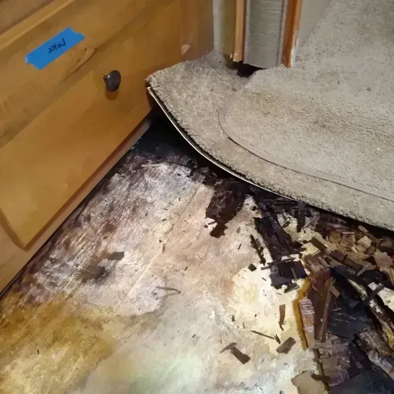 Wood Floor Water Damage in Hazard, KY